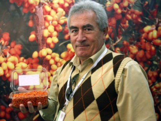 Cel mai mare cultivator de cătină din România câştigă peste 10.000 de euro la hectar
